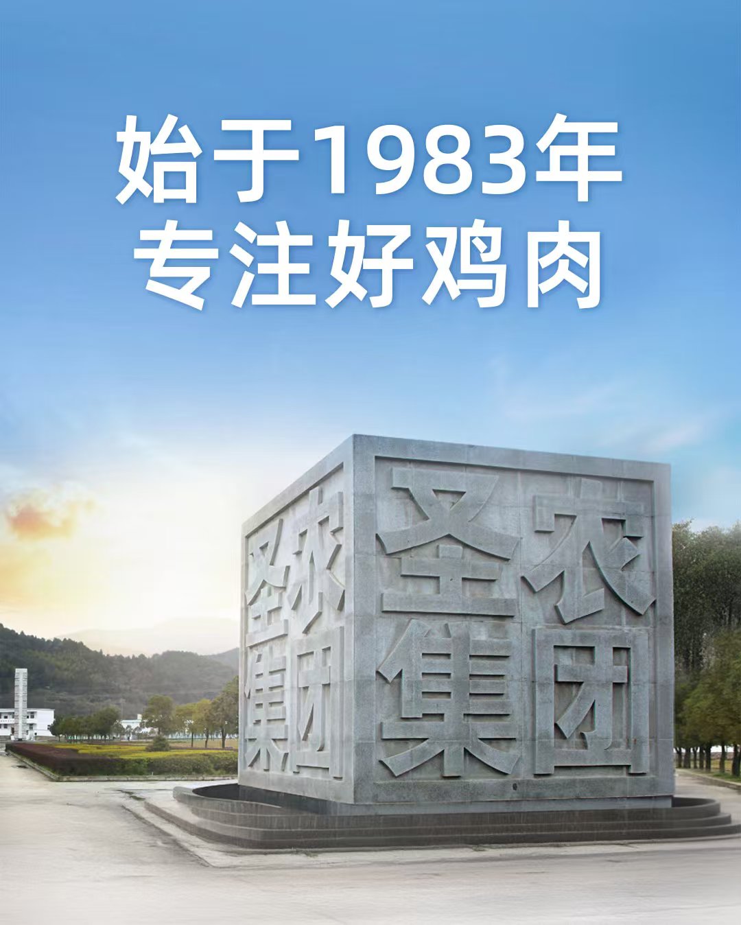 1747105696138609.jpg