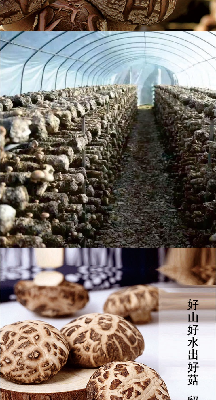 1746948482140933.png