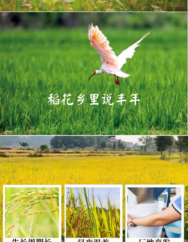 1747020087115239.png