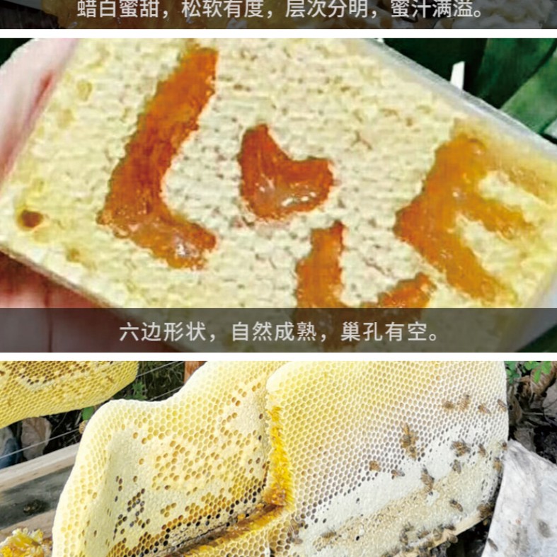 1747990123437633.jpg
